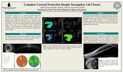 Complete Corneal Protection Despite Incomplete Lid Closure