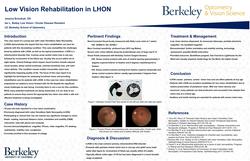 Low Vision Rehabilitation in a Case of Leber Hereditary Optic Neuropathy