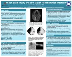 When Brain Injury and Low Vision Rehabilitation Intersect