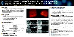 Intravitreal Aflibercept in the Management of Chronic Retinal Arterial Macroaneurysm