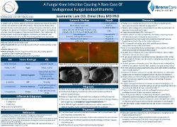 A fungal knee infection causing a rare case of endogenous fungal endophthalmitis